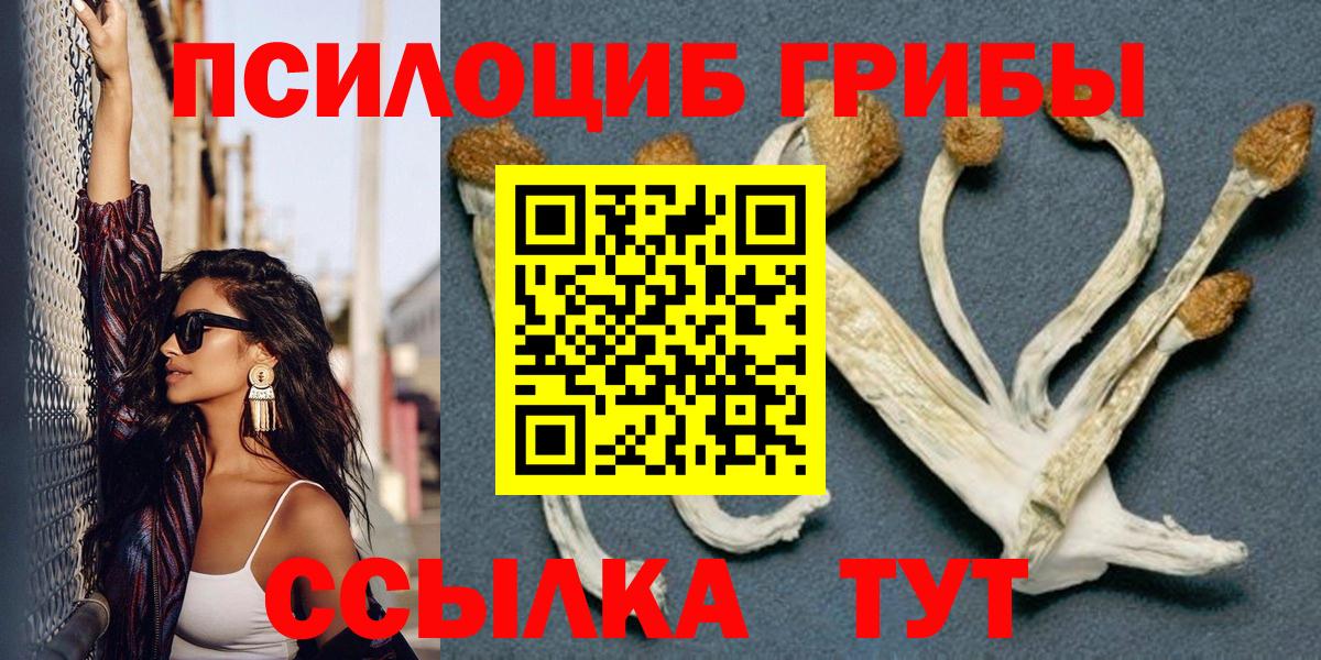 Псилоцибиновые грибы MAGIC MUSHROOMS Коряжма